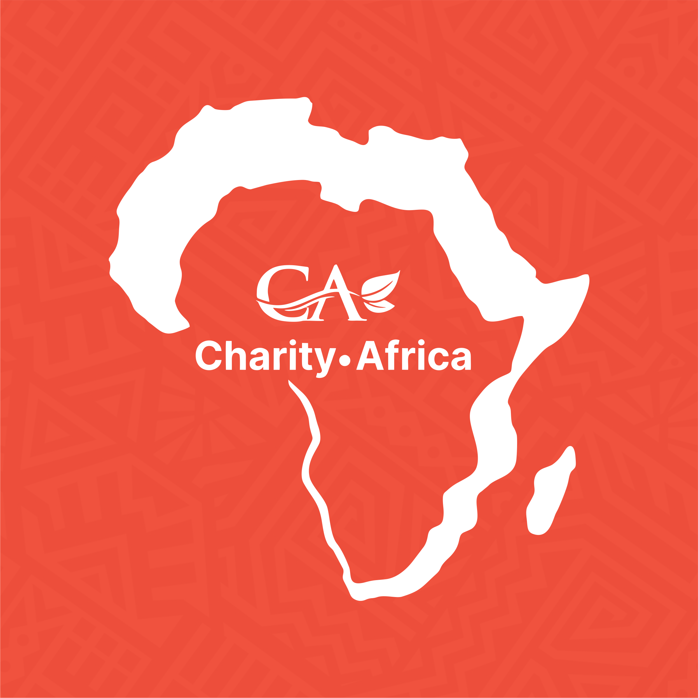 Charity Africa, seamless payment, fintech, Africa payment system, financial freedom, financial inclusion, Africa fintech, payments, seamless solution